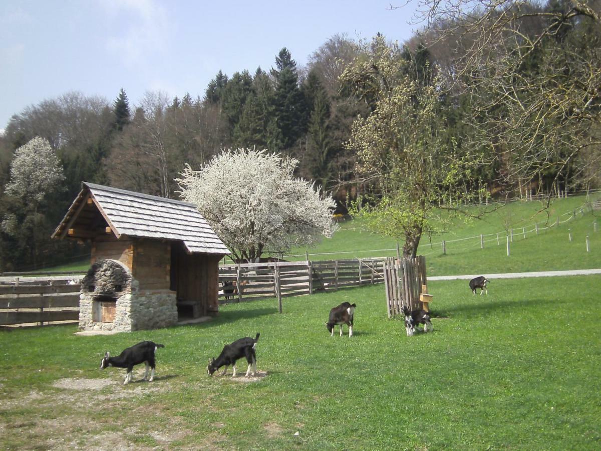 Bauernhof Kaspergut Villa Kirchberg bei Mattighofen Luaran gambar